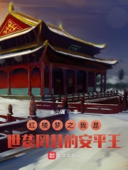 紅樓夢之我是世襲罔替的安平王