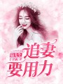 陸先生，追妻要用力
