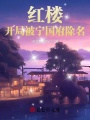 紅樓，開局被寧國府除名