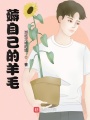 薅自己的羊毛