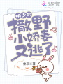 明少的撒野小嬌妻又逃了