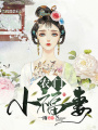 農門小福妻