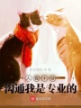 人在IG，溝通我是專業的