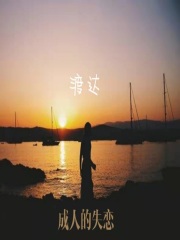 成人的失戀