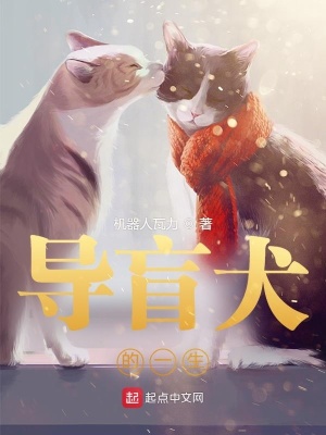 導盲犬的一生