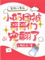 穿到八零后小奶團被哥哥們寵翻了