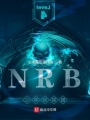 NRB̽