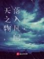 天之物，落入凡間