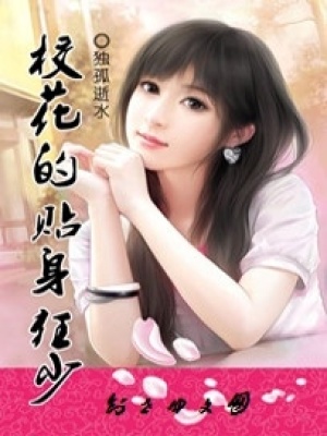 ?；ǖ馁N身狂少