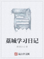 藁城學(xué)習(xí)日記
