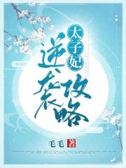 太子妃逆襲攻略