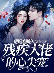 隱婚甜妻，殘疾大佬的心尖寵