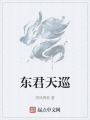 東君天巡