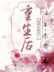 重生后我把夫君休了