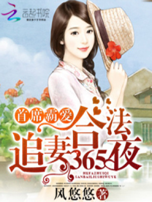 首席霸愛：合法追妻365夜
