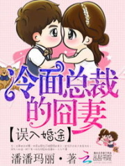 誤入婚途：冷面總裁的囧妻