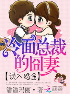 誤入婚途：冷面總裁的囧妻