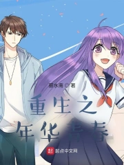 重生之年华青春