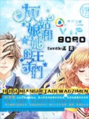8090：灰姑娘和她的王子們