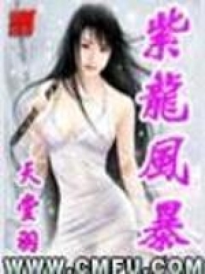 紫龍風暴
