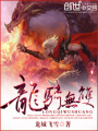 龍騎無雙