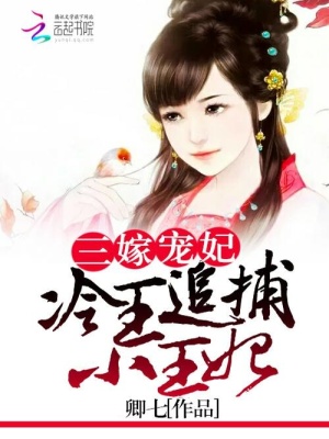 三嫁寵妃：冷王追捕小王妃