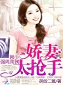顧少?gòu)?qiáng)勢(shì)來(lái)襲：萌妻太搶手