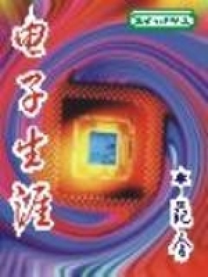 電子生涯