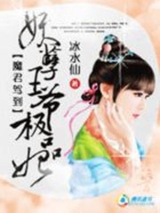 妖孽王爺極品妃
