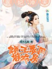 醫(yī)妃沖天