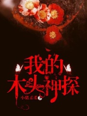 我的木頭神探