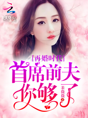 再婚時代：首席前夫你夠了