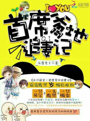 天價(jià)萌寶：首席爹地追妻記