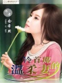 冷首席的溫柔妻