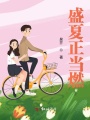 盛夏正當(dāng)燃