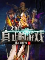 真正的游戲