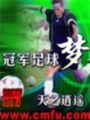 冠軍足球夢