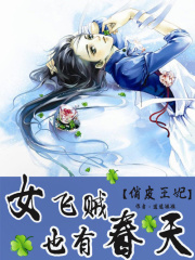 俏皮王妃：女飛賊也有春天