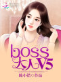 綿羊小妻：BOSS大人，V5