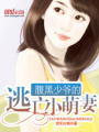 腹黑少爺的逃亡小萌妻