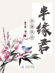 半緣風月半緣君