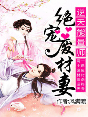 逆天能量師：絕寵廢材妻