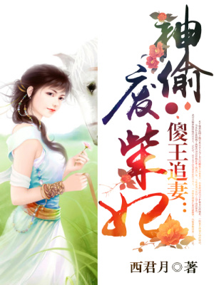傻王追妻：神偷廢柴妃