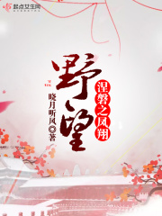 野望——涅磐之鳳翔