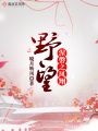 野望——涅磐之鳳翔