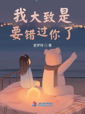 我大致是要錯過你了