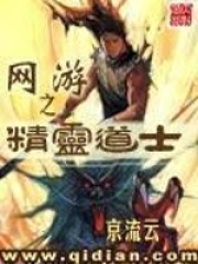 網(wǎng)游之精靈道士