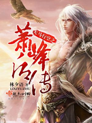 天馬行空之蕭峰后傳