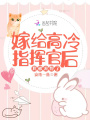嫁给高冷指挥官后，我被宠野了