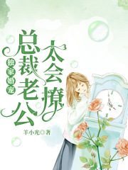 獨家婚寵：總裁老公太會撩